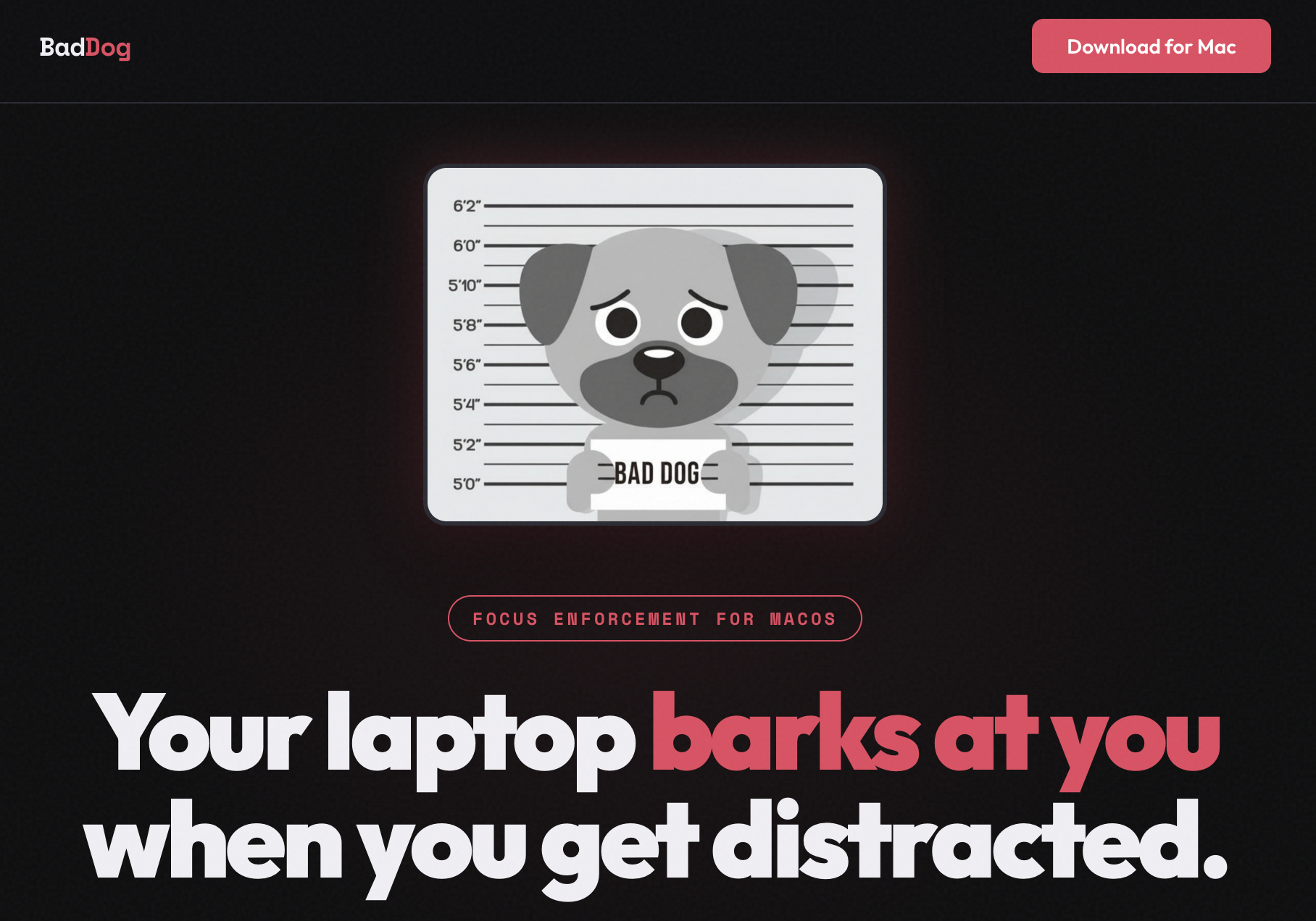 BadDog website showing mugshot-style dog illustration and headline: Your laptop barks at you when you get distracted